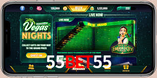 Bonus Features 55bet55