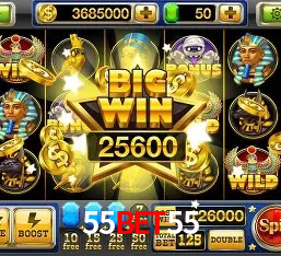 Experiência VIP 55bet55